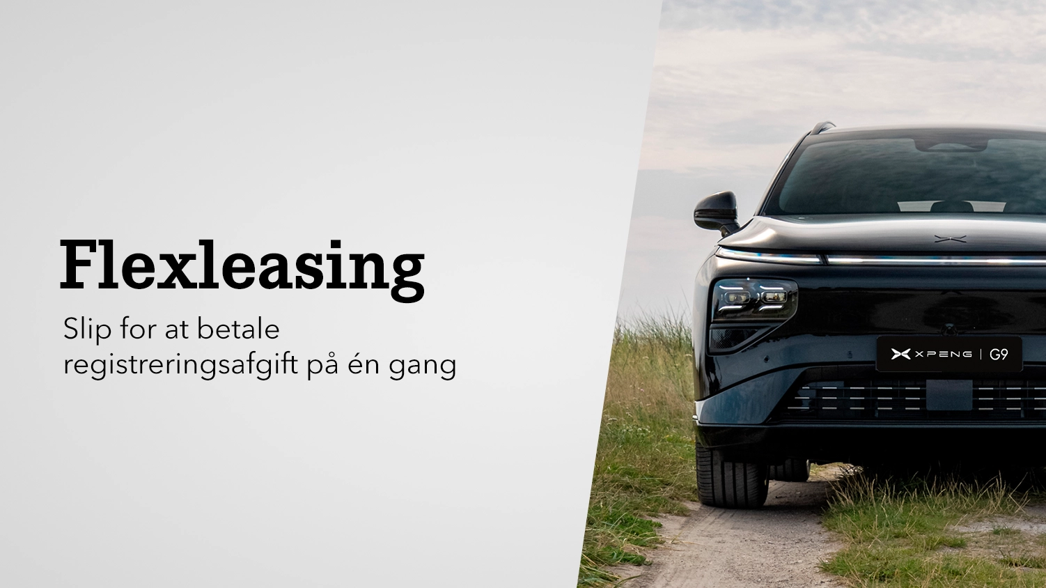 Flexleasing