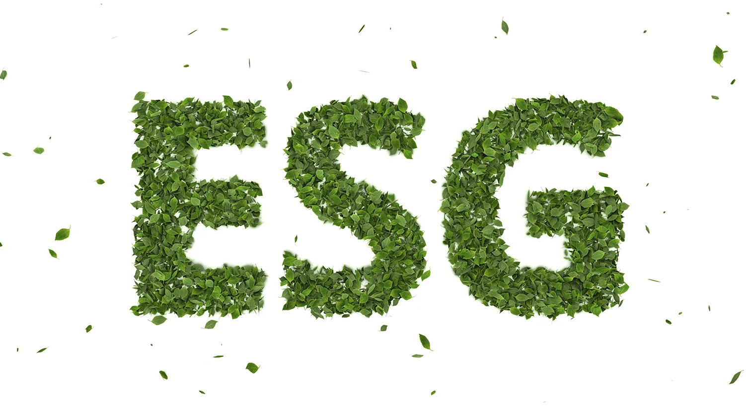 Esg
