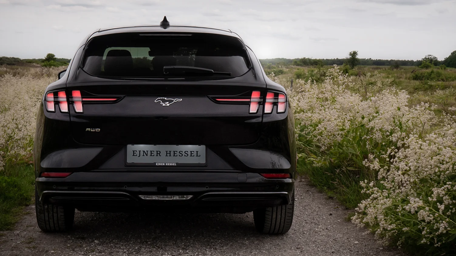 Finansiering af din Ford MUSTANG MACH-E