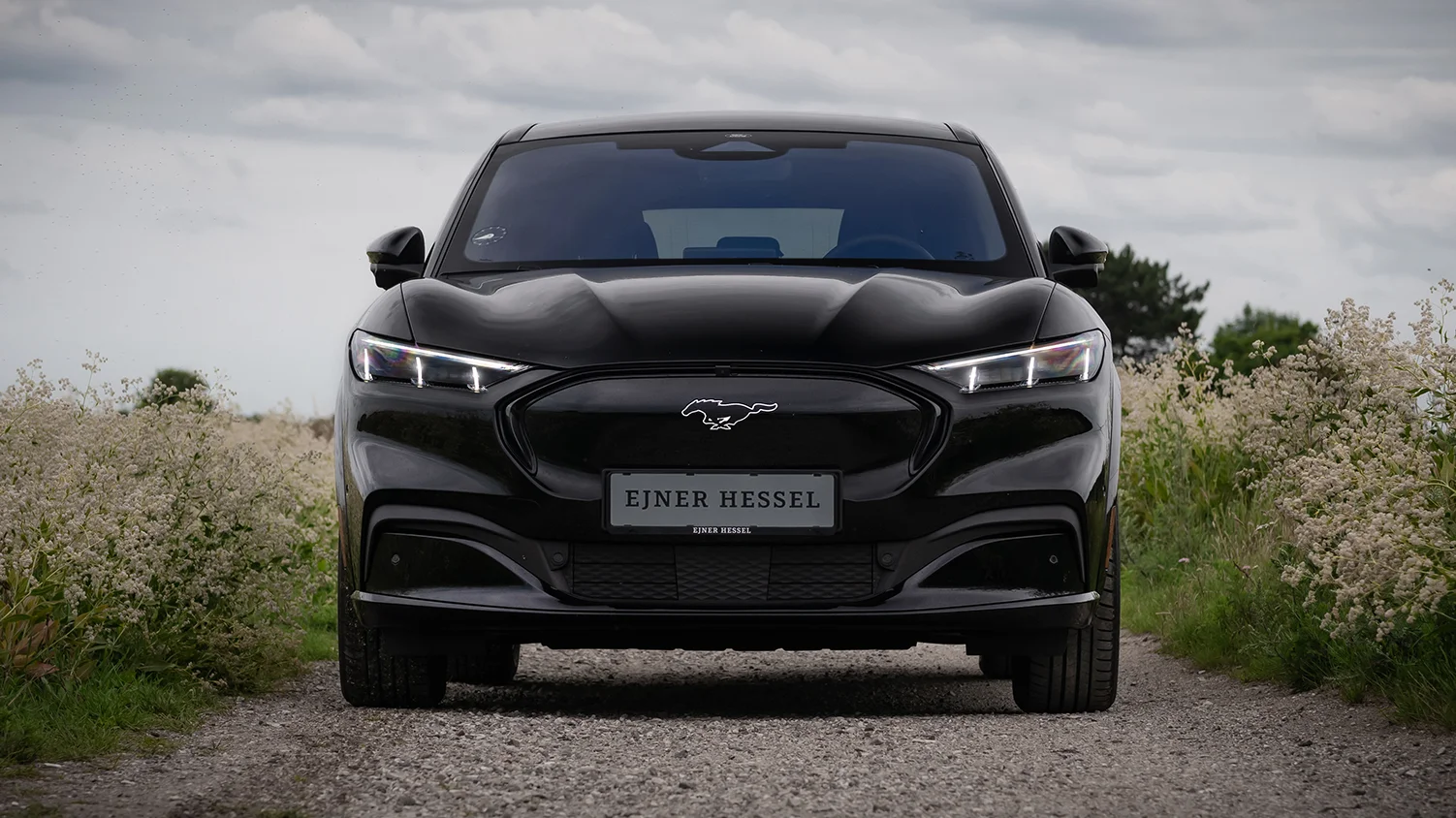 Leasing af din Ford MUSTANG MACH-E